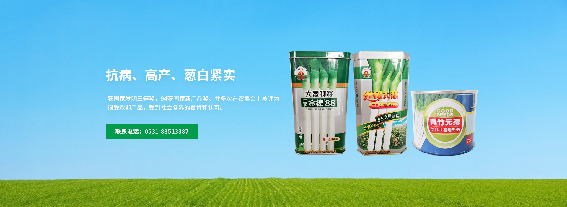 進(jìn)口蔥種抗病，高產(chǎn)，蔥白緊實(shí)
